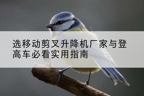 广宗电动升降机厂家-选移动剪叉升降机厂家与登高车必看实用指南