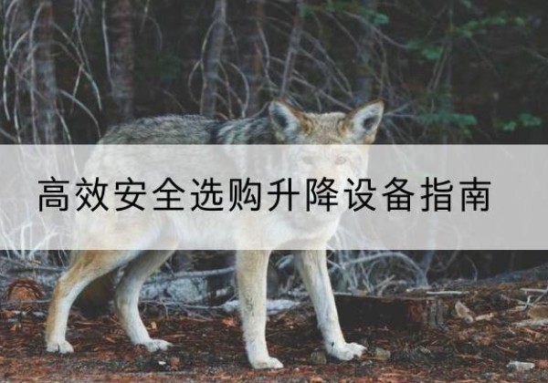 广宗升降货梯厂家推荐-*安全选购升降设备指南