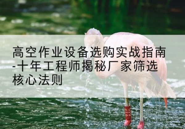广宗剪叉式升降机厂家-高空作业设备选购实战指南-十年工程师揭秘厂家筛选核心法则